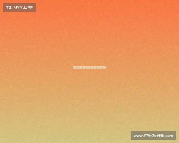 德甲新赛季开幕战揭幕 传统豪门对决点燃赛季激情